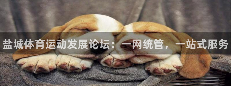 凯发官网下载平台假的吗是真的吗