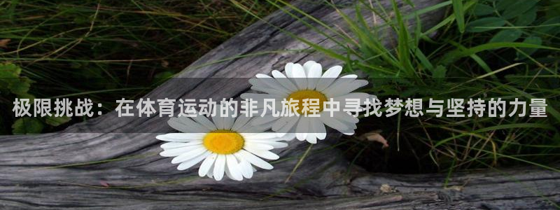 凯发官网下载招商电话地址：极限挑战：在体育运动的非凡旅程中寻