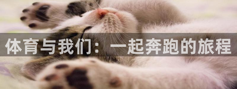 凯发官网下载联系电话：体育与我们：一起奔跑的旅程