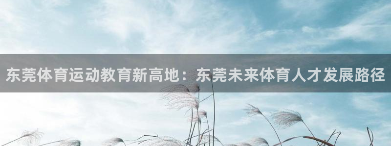 凯发官方正版app娱乐