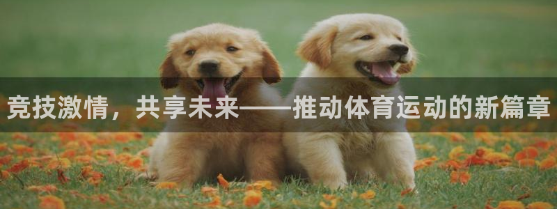 凯发官方正版app官网：竞技激情，共享未来——推动体育运动的
