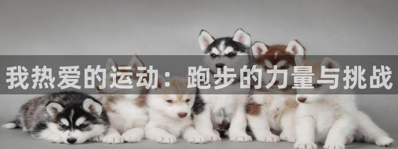 凯发官方正版app开户：我热爱的运动：跑步的力量与挑