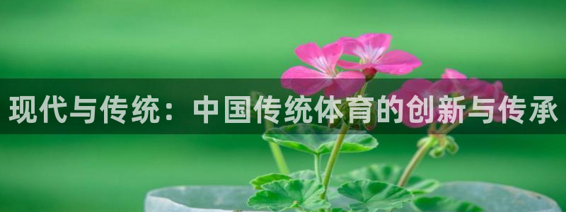 凯发官方正版app集团logo：现代与传统：中国传统
