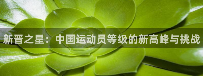 凯发官网下载平台注册：新晋之星：中国运动员等级的新高