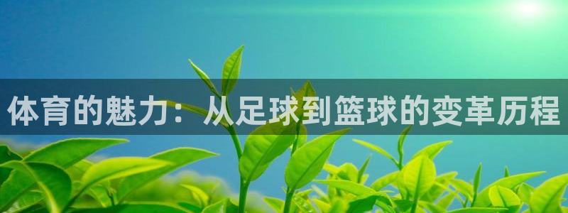 凯发官网下载平台假的吗是真的吗：体育的魅力：从足球到