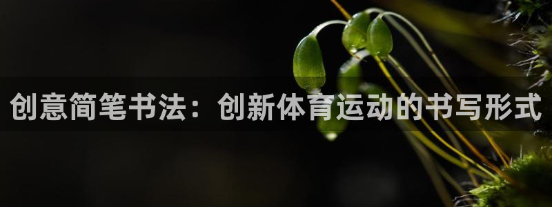 凯发官网下载平台APP：创意简笔书法：创新体育运动的