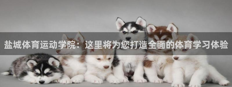 凯发官网下载招商电话号码是多少号：盐城体育运动学院：