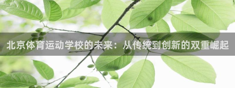 凯发官方正版app代理：北京体育运动学校的未来：从传