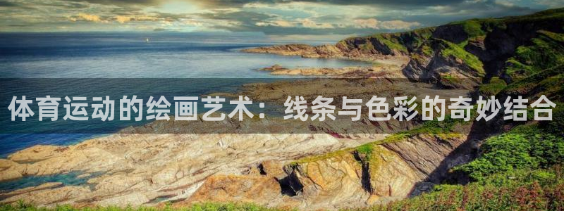 海南凯发官网下载发展怎么样：体育运动的绘画艺术：线条