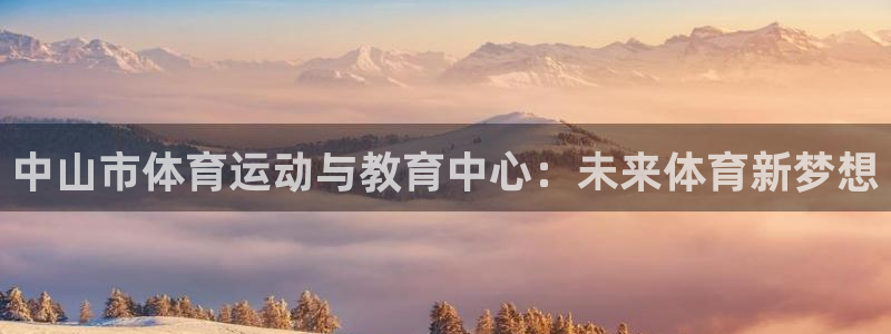 凯发官方正版app集团简介