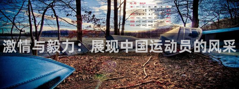 凯发官方集团官网：激情与毅力：展现中国运动员的风采