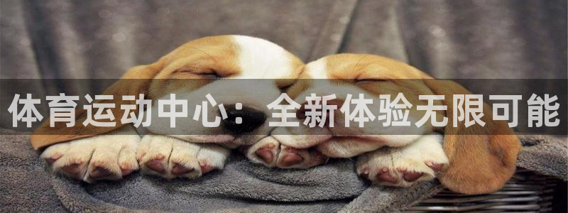 凯发官网下载招商电话号码是多少号