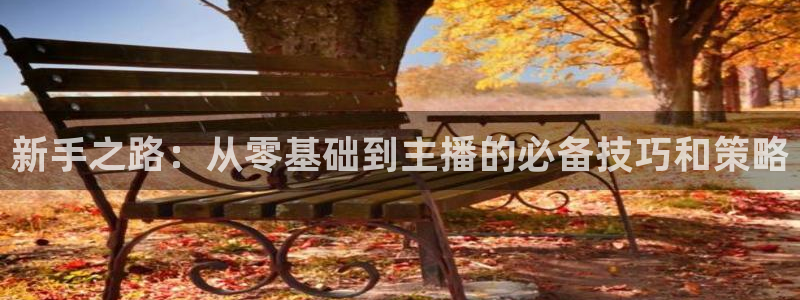 833体育直播免费观看