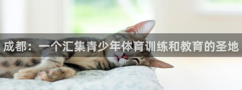 凯发k8官方网娱乐官方：成都：一个汇