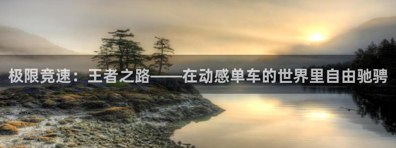 K8凯发官方网站：极限竞速：王者之路