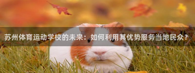 凯发官方正版app娱乐网站