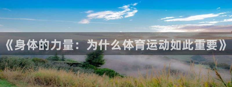凯发官网下载平台注册流程图：《身体的力量：为什么体育运动如此