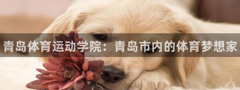 凯发官网下载招商电话地址是多少