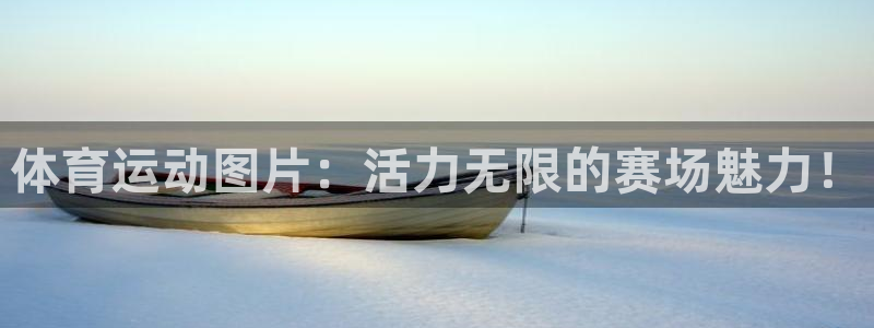 凯发官方正版app集团简介：体育运动图片：活力无限的赛场魅力