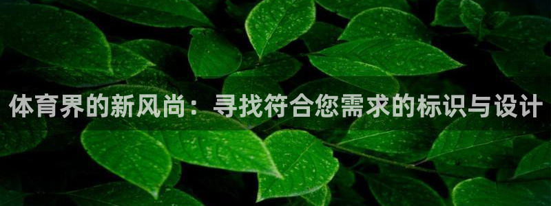 凯发官网下载联系电话：体育界的新风尚：寻找符合您需求的标识与