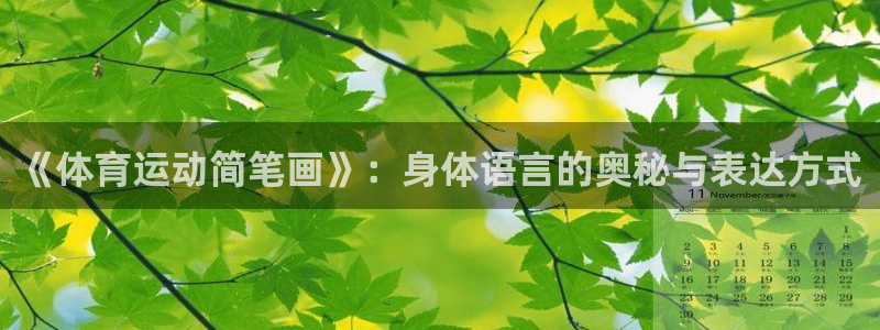 凯发官方正版app娱乐首页网站大全：《体育运动简笔画》：身体
