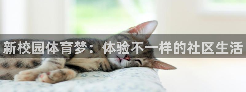 凯发官方正版app娱乐：新校园体育梦：体验不一样的社区生活