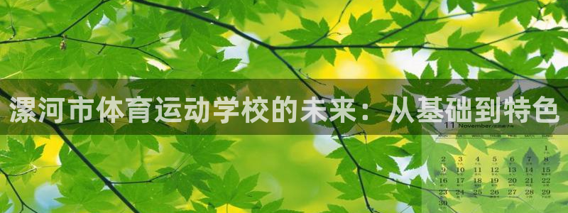 凯发官网下载平台注册流程图：漯河市体育运动学校的未来：从基础