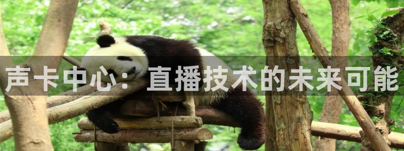 833体育免费直播入口：声卡中心：直播技术的未来可能