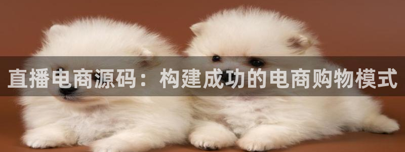 足球833直播免费观看直播：直播电商源码：构建成功的电商购物模式